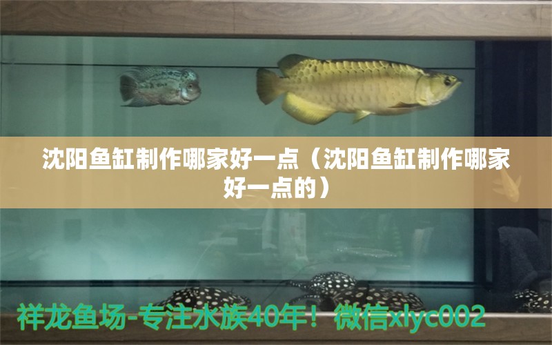 沈陽魚缸制作哪家好一點(diǎn)（沈陽魚缸制作哪家好一點(diǎn)的）