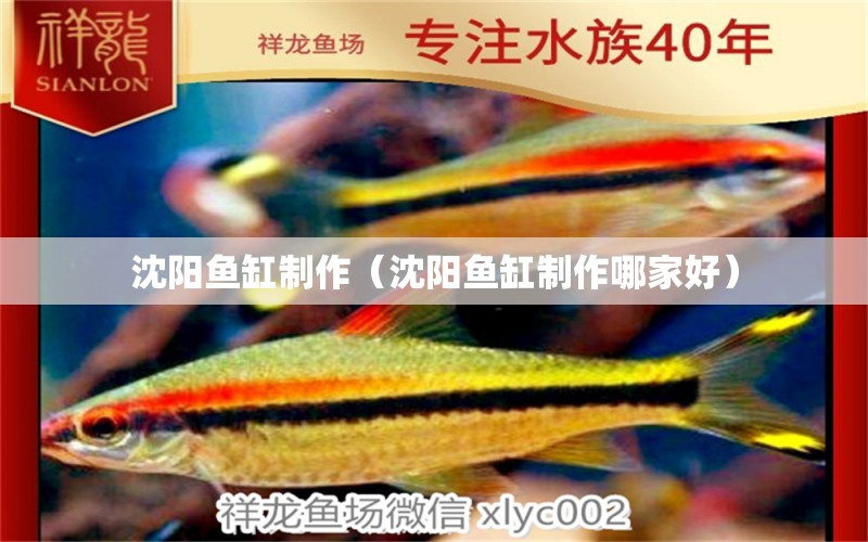 沈陽魚缸制作（沈陽魚缸制作哪家好）