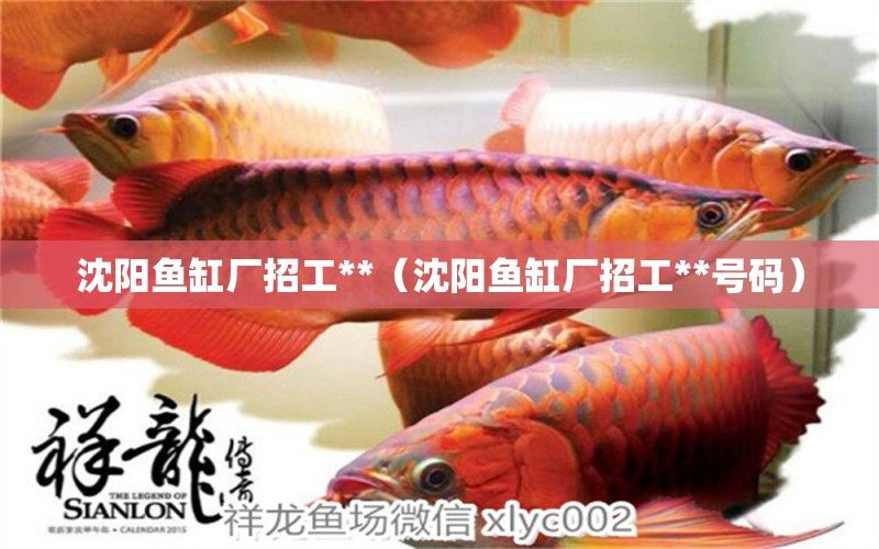 沈陽魚缸廠招工**（沈陽魚缸廠招工**號碼） 女王大帆魚苗