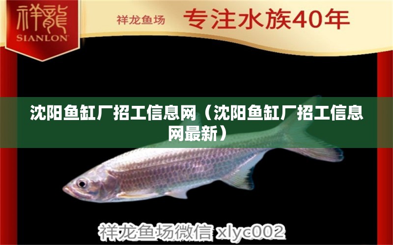 沈陽魚缸廠招工信息網(wǎng)（沈陽魚缸廠招工信息網(wǎng)最新） 祥龍水族醫(yī)院