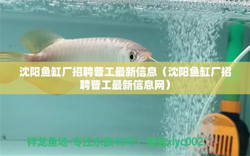 沈陽魚缸廠招聘普工最新信息（沈陽魚缸廠招聘普工最新信息網(wǎng)）