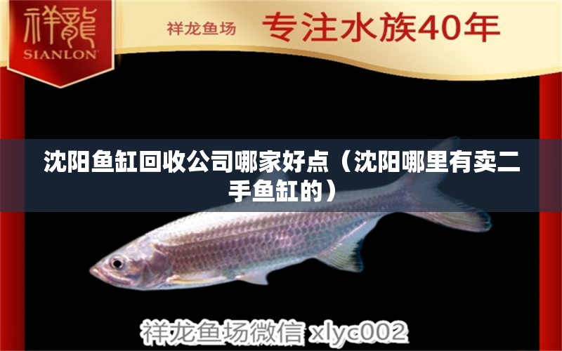 沈陽魚缸回收公司哪家好點（沈陽哪里有賣二手魚缸的）