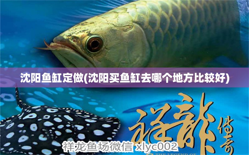 沈陽魚缸定做(沈陽買魚缸去哪個地方比較好)