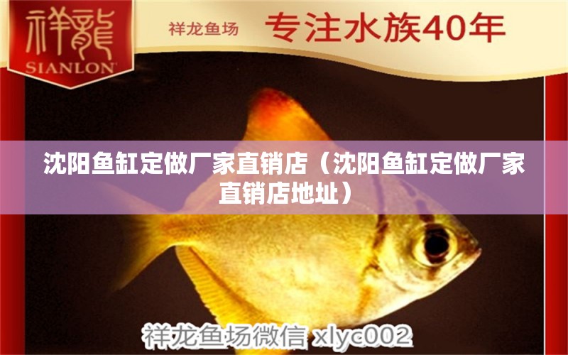 沈陽魚缸定做廠家直銷店（沈陽魚缸定做廠家直銷店地址）