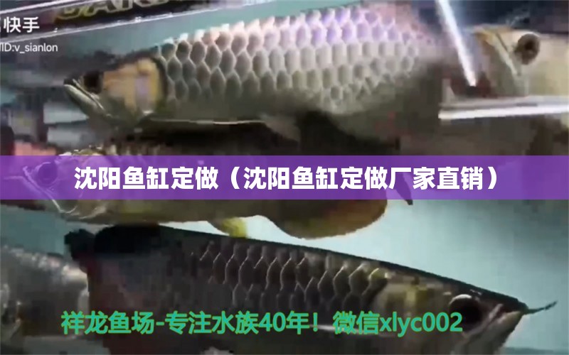 沈陽(yáng)魚缸定做（沈陽(yáng)魚缸定做廠家直銷）