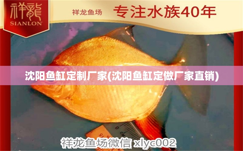 沈陽魚缸定制廠家(沈陽魚缸定做廠家直銷) 水族雜談