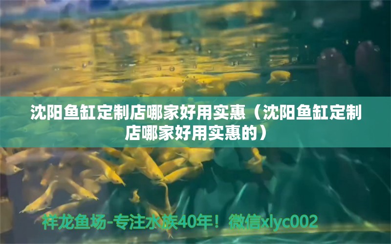 沈陽魚缸定制店哪家好用實惠（沈陽魚缸定制店哪家好用實惠的）