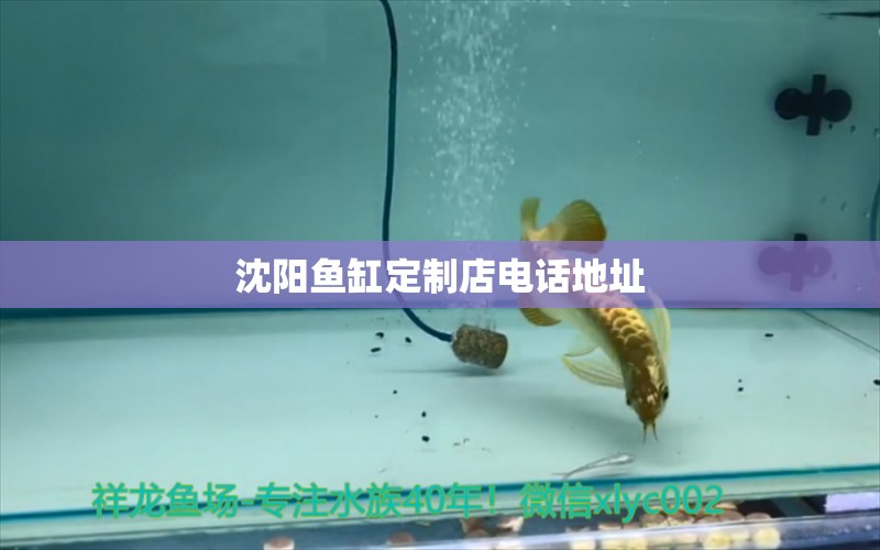 沈陽(yáng)魚(yú)缸定制店電話地址