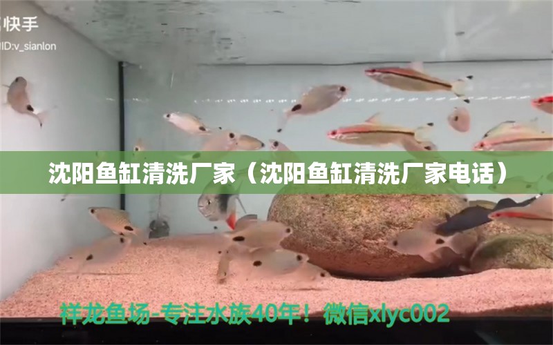 沈陽魚缸清洗廠家（沈陽魚缸清洗廠家電話）