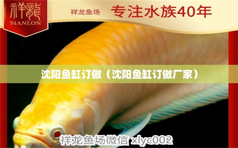 沈陽魚缸訂做（沈陽魚缸訂做廠家） 其他品牌魚缸