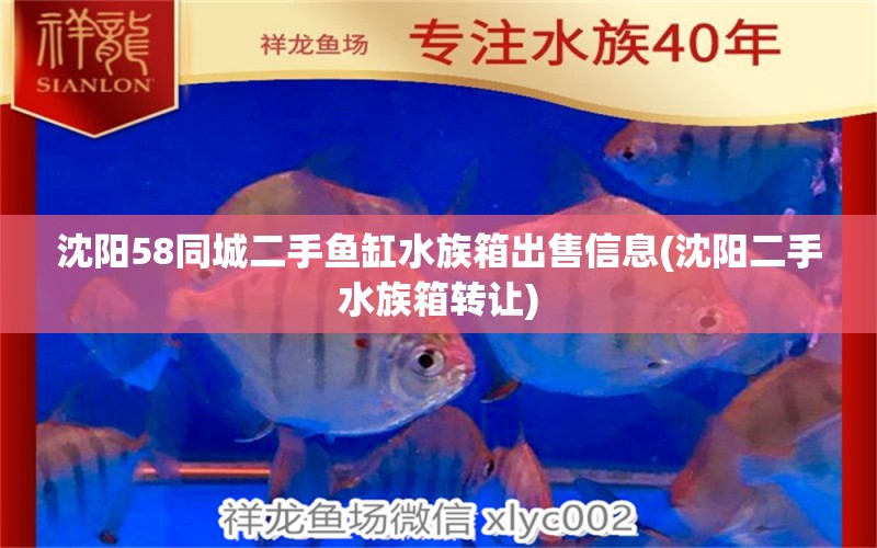 沈陽58同城二手魚缸水族箱出售信息(沈陽二手水族箱轉(zhuǎn)讓) 魚缸/水族箱