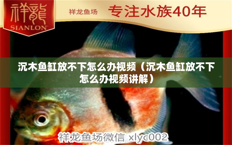 沉木魚(yú)缸放不下怎么辦視頻（沉木魚(yú)缸放不下怎么辦視頻講解） 其他品牌魚(yú)缸