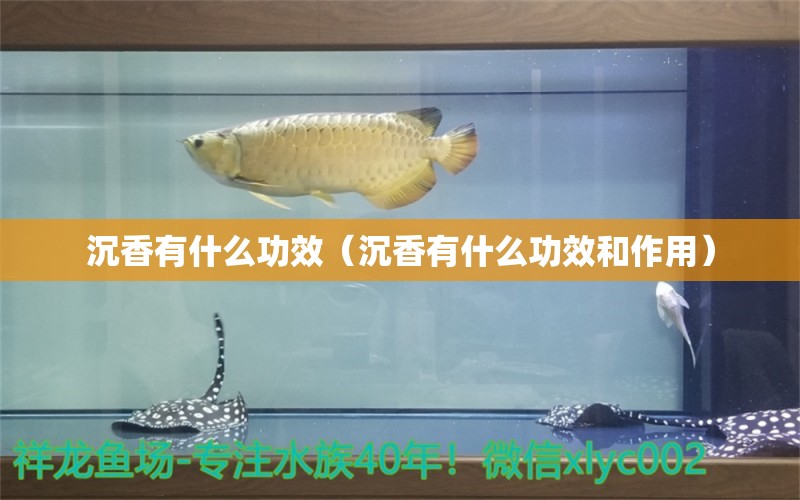 沉香有什么功效（沉香有什么功效和作用）