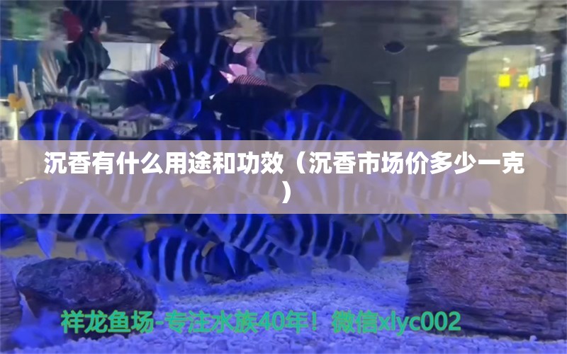 沉香有什么用途和功效（沉香市場價多少一克）