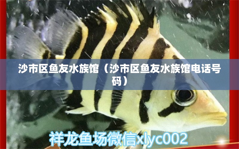 沙市區(qū)魚友水族館（沙市區(qū)魚友水族館電話號碼） 全國水族館企業(yè)名錄