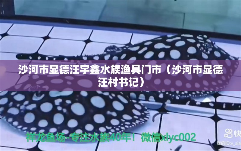 沙河市顯德汪宇鑫水族漁具門市（沙河市顯德汪村書記）