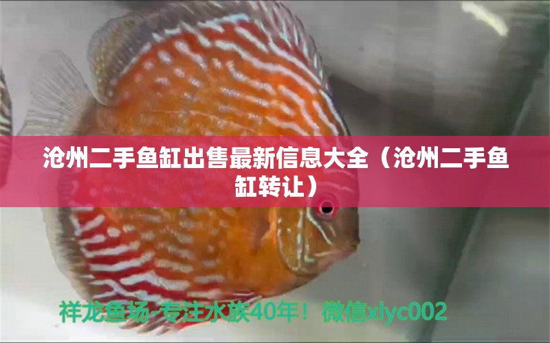 滄州二手魚缸出售最新信息大全（滄州二手魚缸轉(zhuǎn)讓）