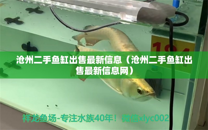 滄州二手魚缸出售最新信息（滄州二手魚缸出售最新信息網(wǎng)） 福魟魟魚