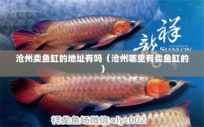 滄州賣魚缸的地址有嗎（滄州哪里有賣魚缸的） 其他品牌魚缸