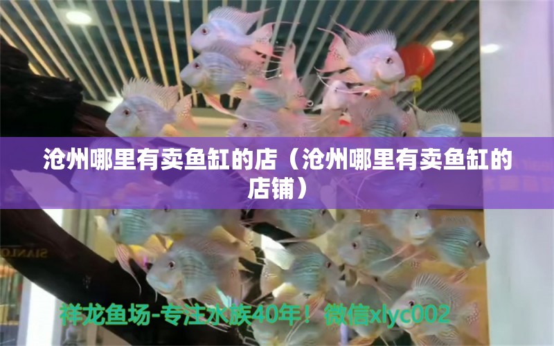 滄州哪里有賣魚缸的店（滄州哪里有賣魚缸的店鋪） 其他品牌魚缸