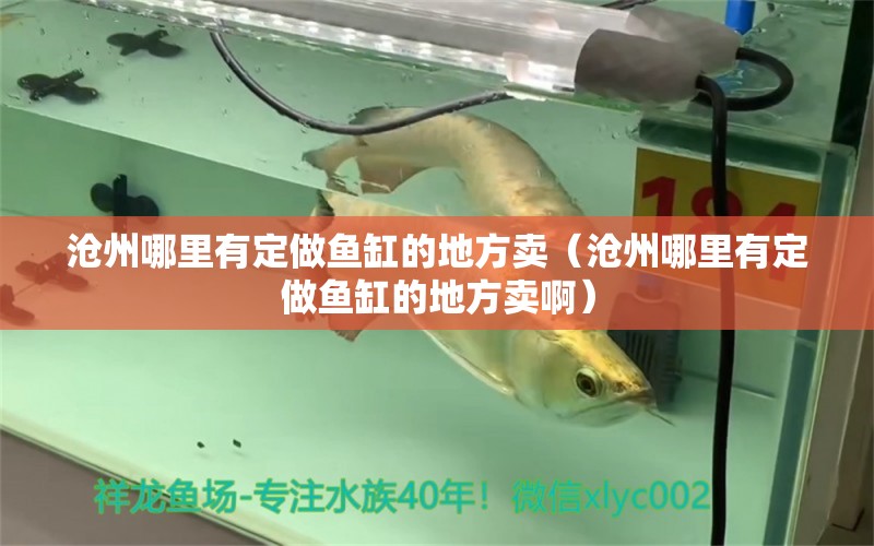 滄州哪里有定做魚缸的地方賣（滄州哪里有定做魚缸的地方賣?。?其他品牌魚缸 第2張