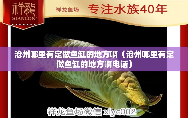 滄州哪里有定做魚(yú)缸的地方?。嬷菽睦镉卸ㄗ鲷~(yú)缸的地方啊電話）