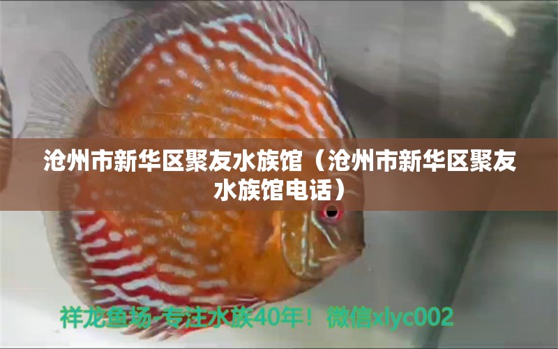 滄州市新華區(qū)聚友水族館（滄州市新華區(qū)聚友水族館電話）