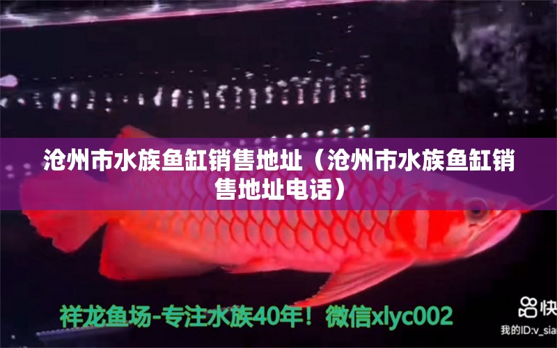 滄州市水族魚缸銷售地址（滄州市水族魚缸銷售地址電話）