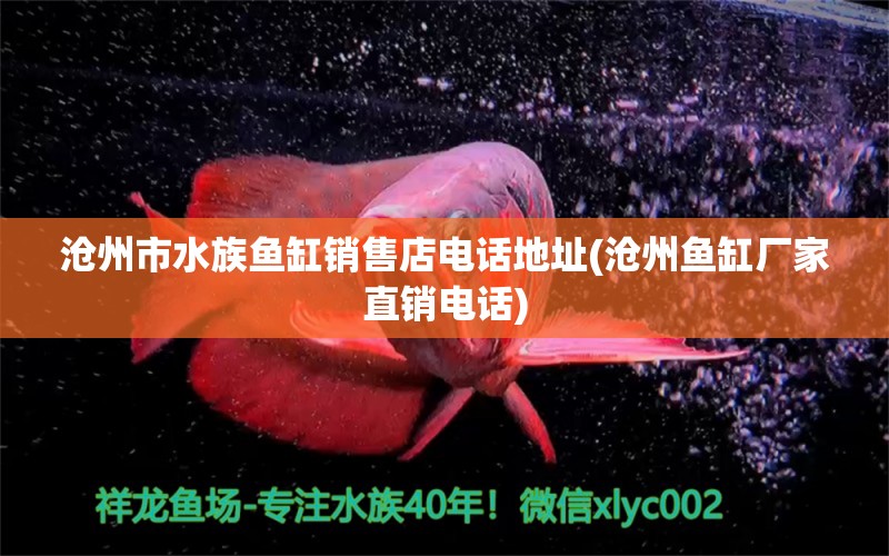 滄州市水族魚缸銷售店電話地址(滄州魚缸廠家直銷電話) 巴西亞魚苗