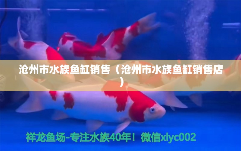 滄州市水族魚缸銷售（滄州市水族魚缸銷售店）