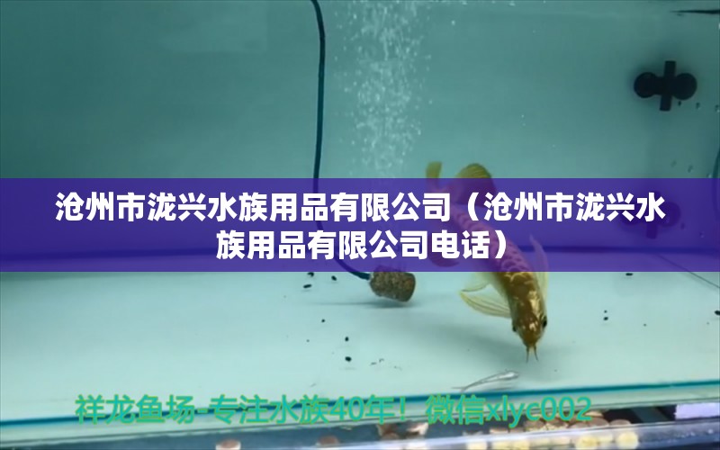 滄州市瀧興水族用品有限公司（滄州市瀧興水族用品有限公司電話）