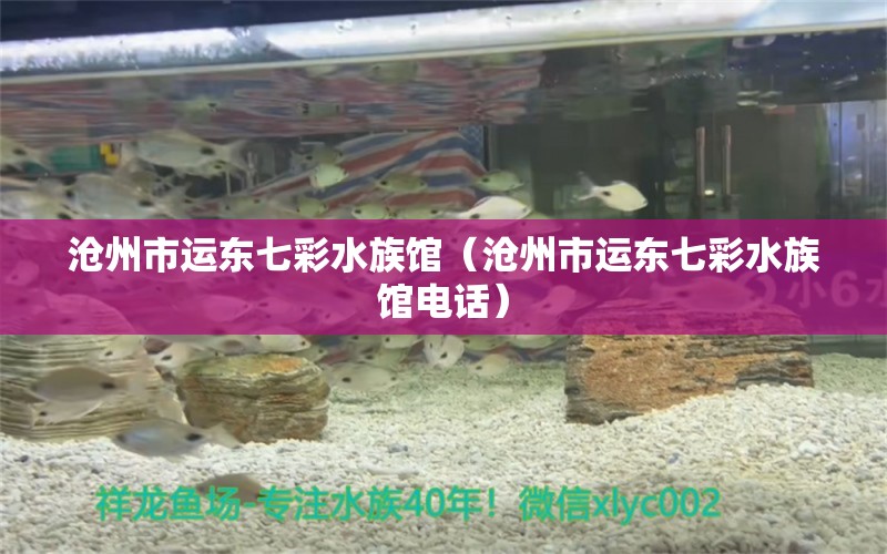 滄州市運(yùn)東七彩水族館（滄州市運(yùn)東七彩水族館電話） 全國水族館企業(yè)名錄