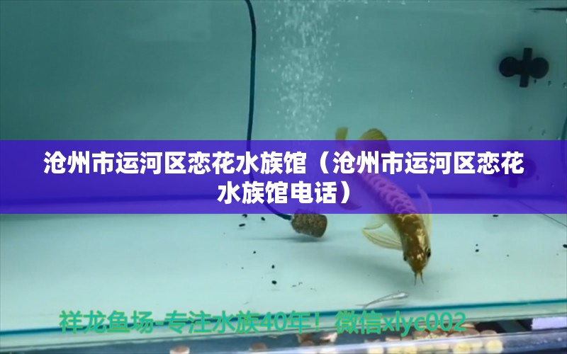 滄州市運河區(qū)戀花水族館（滄州市運河區(qū)戀花水族館電話）