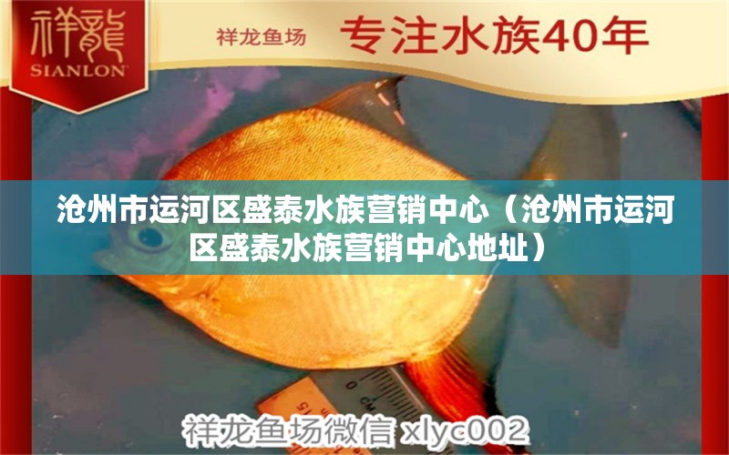 滄州市運(yùn)河區(qū)盛泰水族營銷中心（滄州市運(yùn)河區(qū)盛泰水族營銷中心地址）