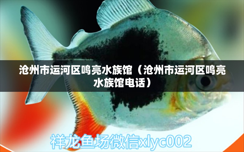 滄州市運河區(qū)鳴亮水族館（滄州市運河區(qū)鳴亮水族館電話）