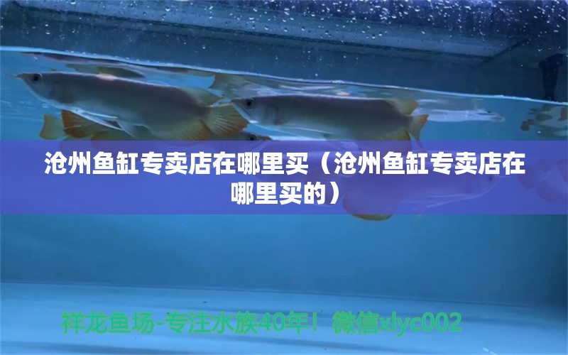 滄州魚缸專賣店在哪里買（滄州魚缸專賣店在哪里買的） 其他品牌魚缸