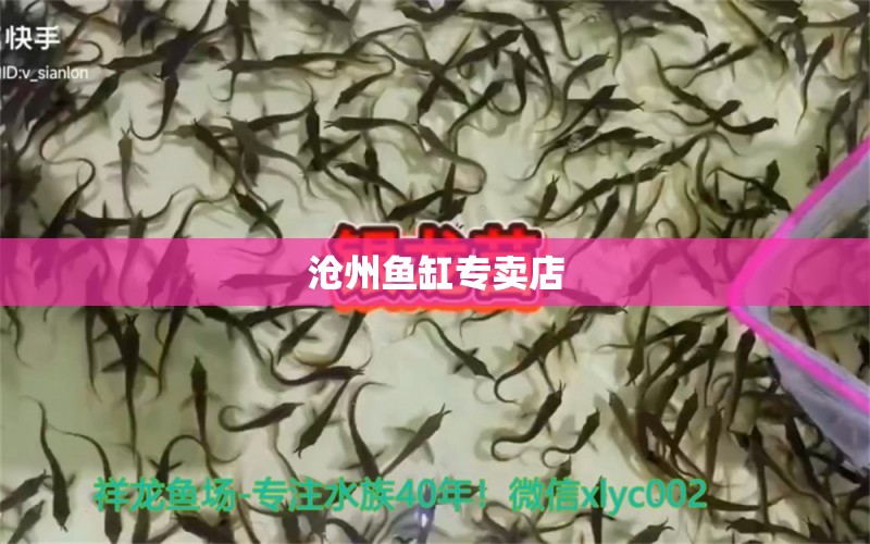 滄州魚(yú)缸專(zhuān)賣(mài)店 其他品牌魚(yú)缸