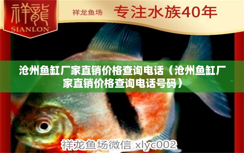 滄州魚缸廠家直銷價(jià)格查詢電話（滄州魚缸廠家直銷價(jià)格查詢電話號碼）