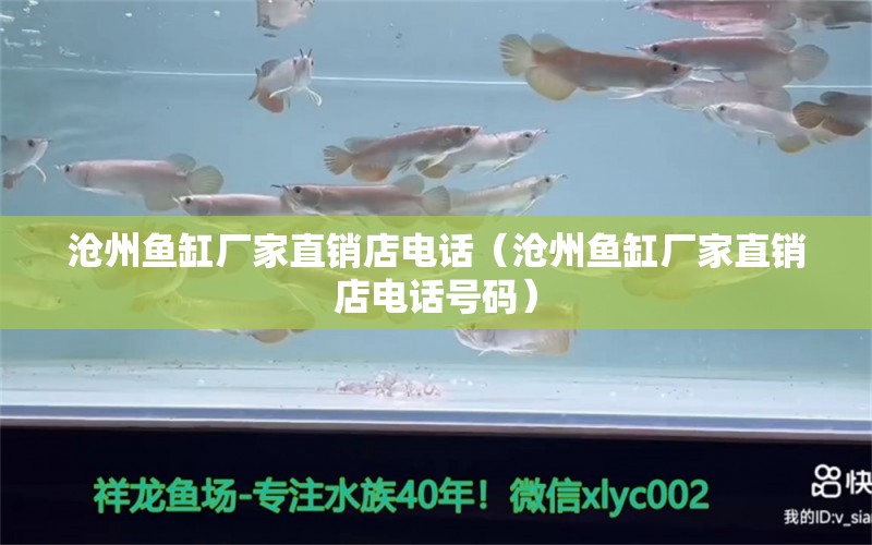 滄州魚缸廠家直銷店電話（滄州魚缸廠家直銷店電話號碼）