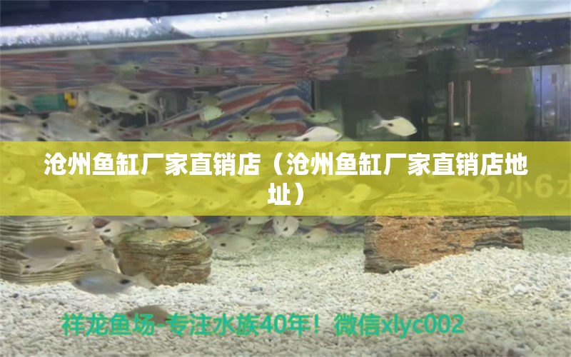 滄州魚缸廠家直銷店（滄州魚缸廠家直銷店地址）