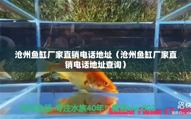 滄州魚缸廠家直銷電話地址（滄州魚缸廠家直銷電話地址查詢）