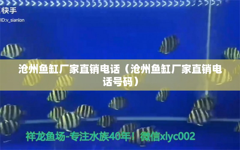 滄州魚缸廠家直銷電話（滄州魚缸廠家直銷電話號碼）