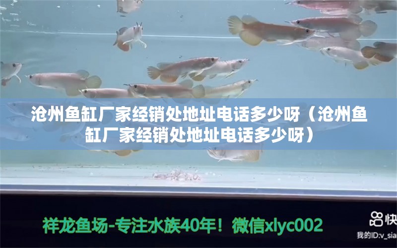 滄州魚缸廠家經(jīng)銷處地址電話多少呀（滄州魚缸廠家經(jīng)銷處地址電話多少呀）