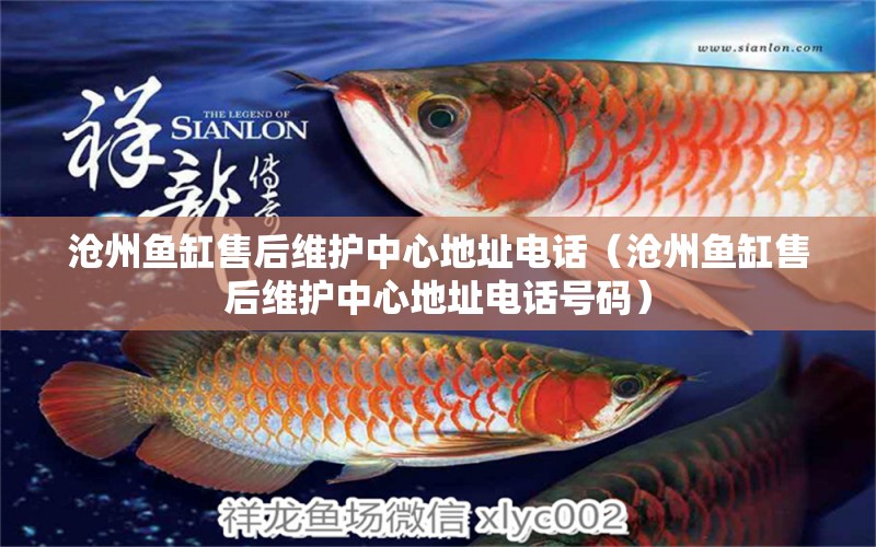 滄州魚缸售后維護(hù)中心地址電話（滄州魚缸售后維護(hù)中心地址電話號碼）