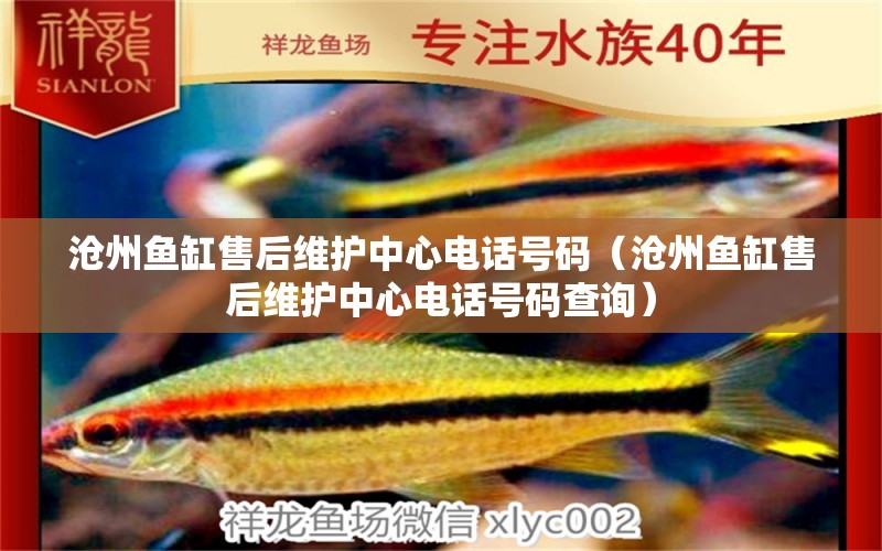 滄州魚(yú)缸售后維護(hù)中心電話號(hào)碼（滄州魚(yú)缸售后維護(hù)中心電話號(hào)碼查詢）