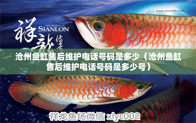 滄州魚缸售后維護(hù)電話號碼是多少（滄州魚缸售后維護(hù)電話號碼是多少號） 其他品牌魚缸