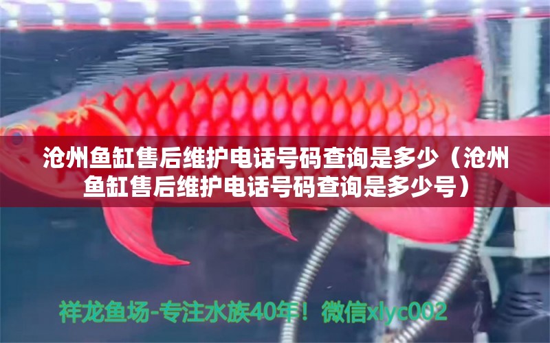 滄州魚(yú)缸售后維護(hù)電話號(hào)碼查詢是多少（滄州魚(yú)缸售后維護(hù)電話號(hào)碼查詢是多少號(hào)）