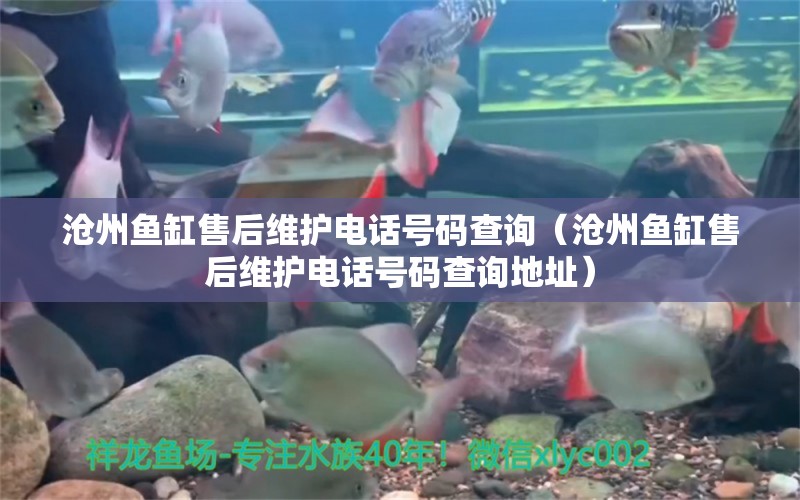 滄州魚缸售后維護(hù)電話號碼查詢（滄州魚缸售后維護(hù)電話號碼查詢地址） 其他品牌魚缸