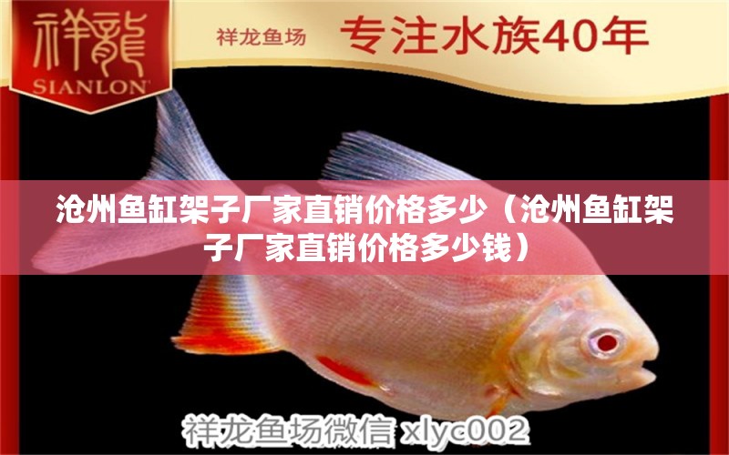 滄州魚缸架子廠家直銷價(jià)格多少（滄州魚缸架子廠家直銷價(jià)格多少錢）