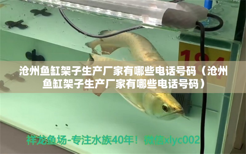 滄州魚(yú)缸架子生產(chǎn)廠家有哪些電話號(hào)碼（滄州魚(yú)缸架子生產(chǎn)廠家有哪些電話號(hào)碼）